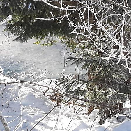 Alpenlodge Kirchbach Kirchbach  Εξωτερικό φωτογραφία