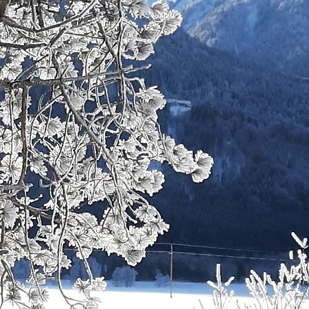 Alpenlodge Kirchbach Kirchbach  Εξωτερικό φωτογραφία