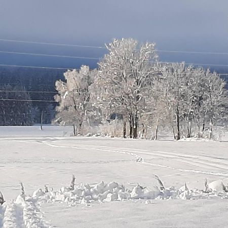 Alpenlodge Kirchbach Kirchbach  Εξωτερικό φωτογραφία