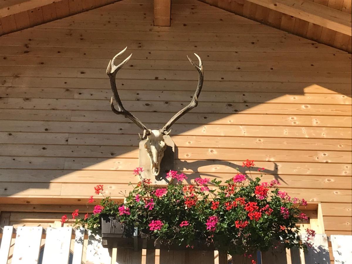 Alpenlodge Kirchbach Kirchbach  Εξωτερικό φωτογραφία