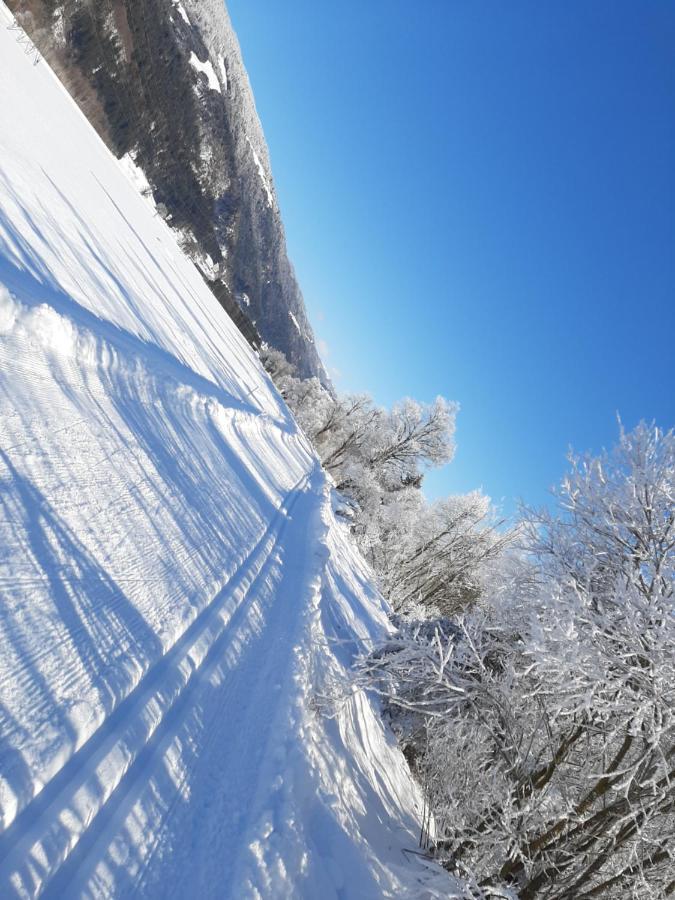 Alpenlodge Kirchbach Kirchbach  Εξωτερικό φωτογραφία