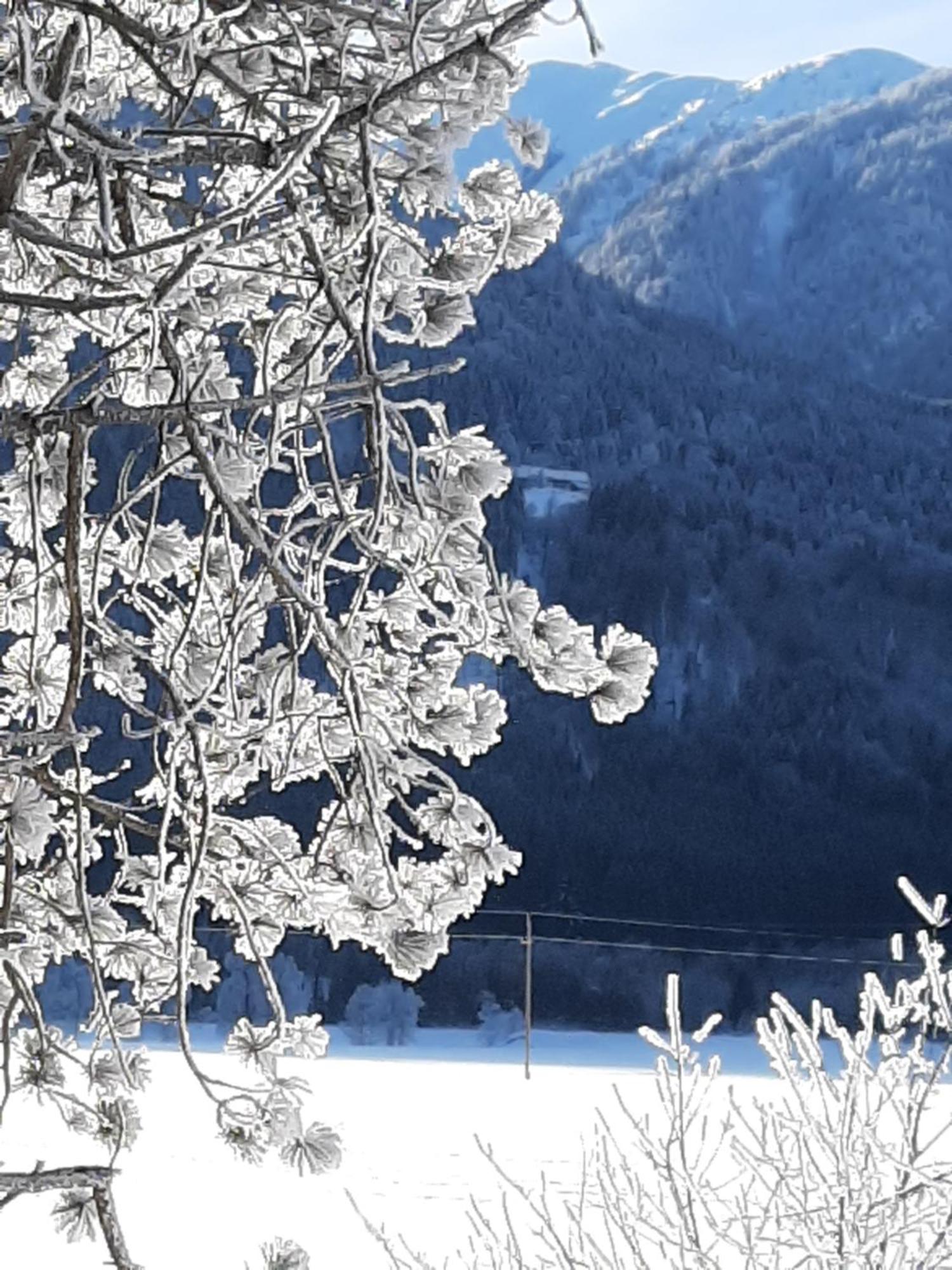 Alpenlodge Kirchbach Kirchbach  Εξωτερικό φωτογραφία