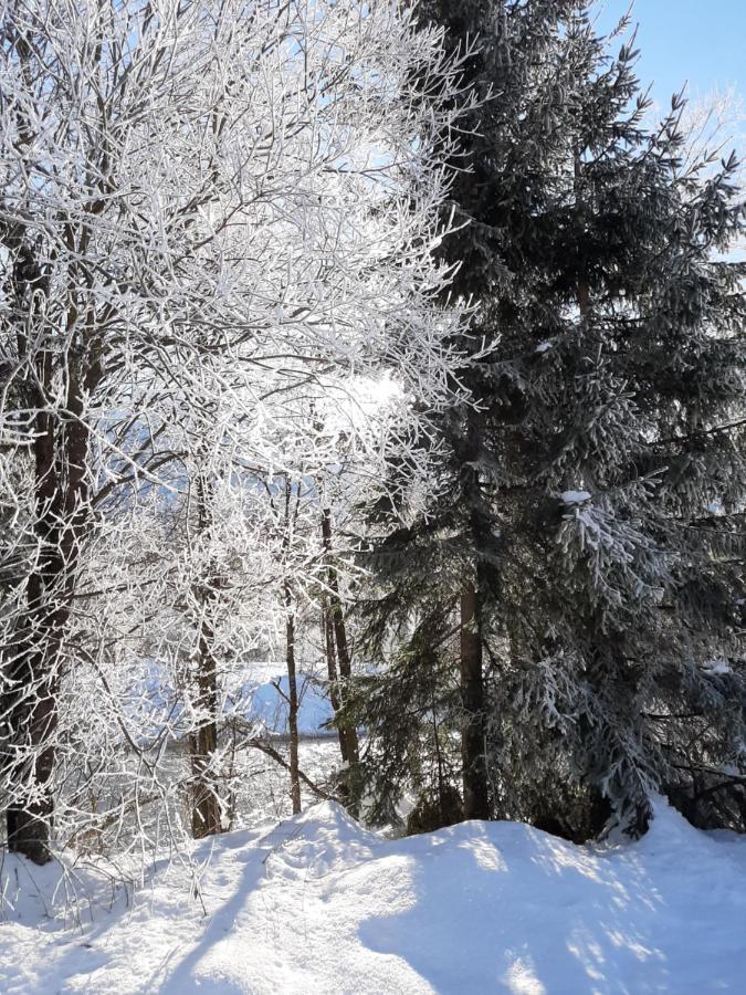 Alpenlodge Kirchbach Kirchbach  Εξωτερικό φωτογραφία