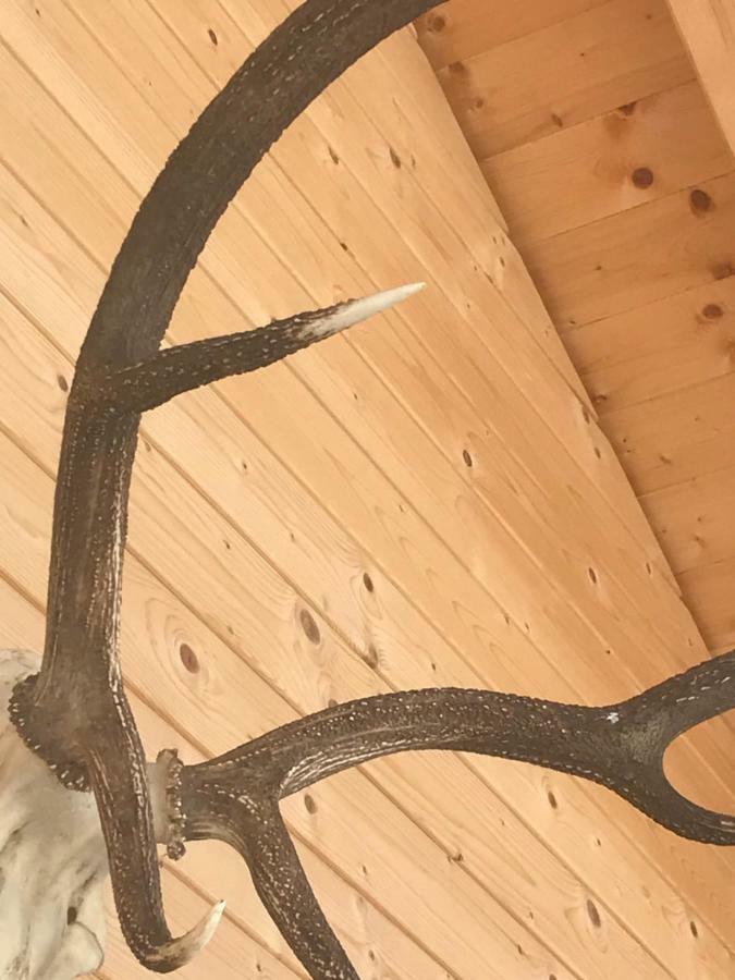 Alpenlodge Kirchbach Kirchbach  Εξωτερικό φωτογραφία